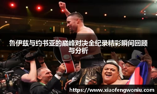 鲁伊兹与约书亚的巅峰对决全纪录精彩瞬间回顾与分析