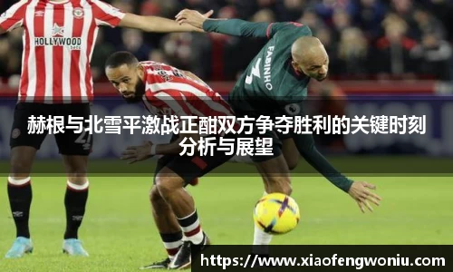 赫根与北雪平激战正酣双方争夺胜利的关键时刻分析与展望