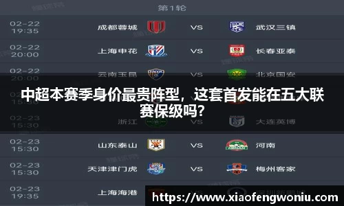 中超本赛季身价最贵阵型，这套首发能在五大联赛保级吗？